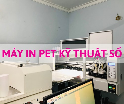 Cung cấp máy in PET Kỹ thuật số