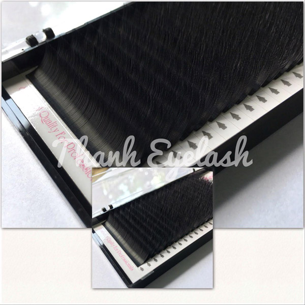 Lông mi - Lông Mi Thanh Eyelashes - Cơ Sở Sản Xuất Lông Mi Thanh Eyelashes