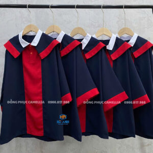 Đồng phục cử nhân 