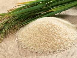 Enzymes dịch hóa SEBrew HT/SEBstar HTL - Phụ Gia Hưng Thịnh - Công Ty TNHH Dịch Vụ Đầu Tư Và Xúc Tiến Thương Mại Hưng Thịnh Việt Nam
