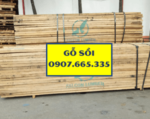 Gỗ sồi Châu Âu 26mm