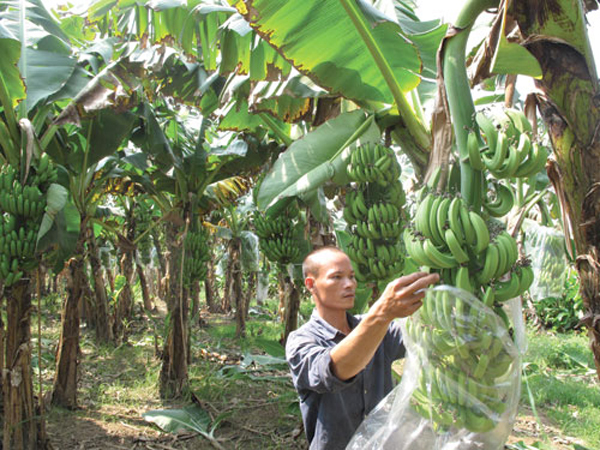 Công Ty TNHH Thuận Tâm Thành
