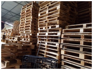 Pallet gỗ