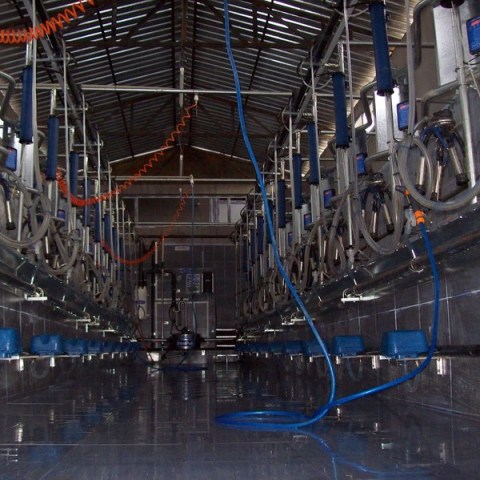 Hệ thống máy vắt sữa - Công Ty TNHH Xuất Nhập Khẩu Năng Lượng Xanh Kim Nguyễn