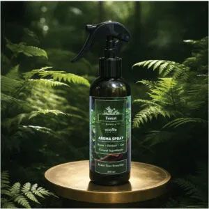Tinh dầu xịt thơm Forest - Quà Tặng Ecolife - Công Ty TNHH Ecolife