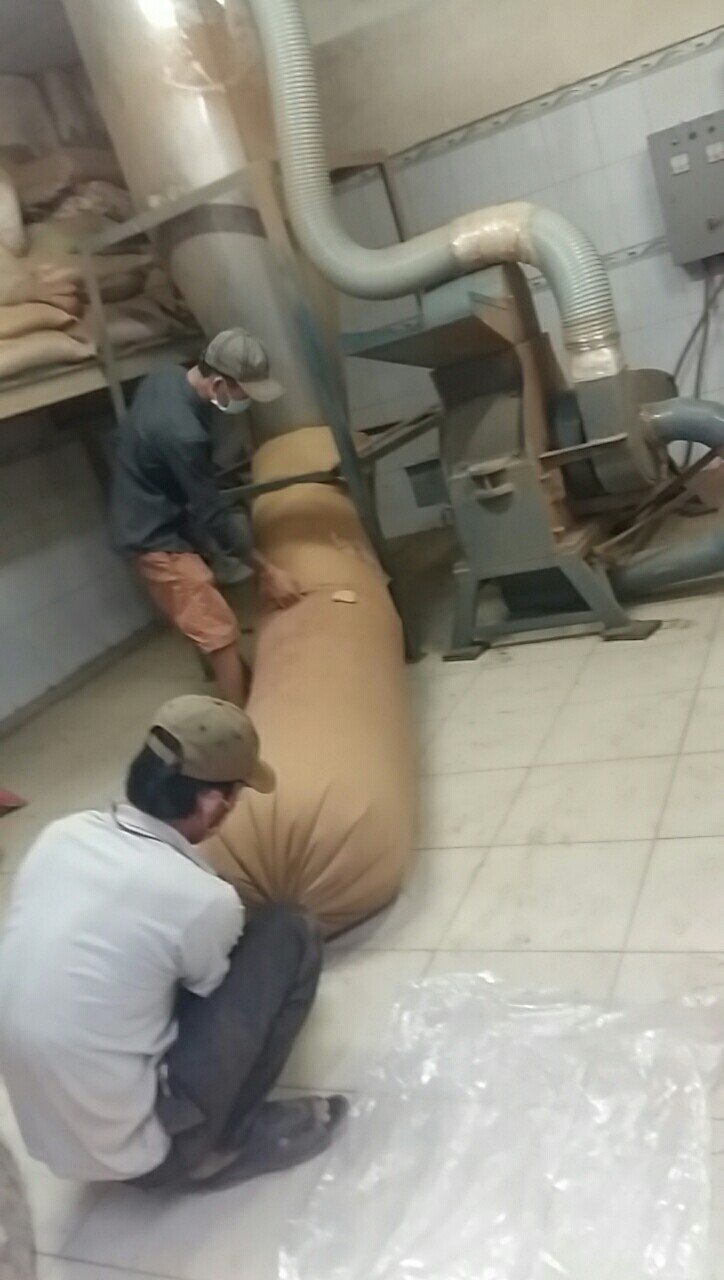 Hương nhang Kỳ Anh