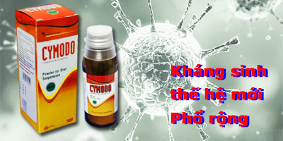 Thuốc CYMODO kháng sinh thế hệ mới phổ rộng - Dược Phẩm Davinci - Công Ty Cổ Phần Dược Phẩm Davinci - Pháp