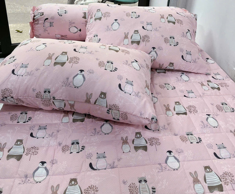 Chăn ga gối đệm