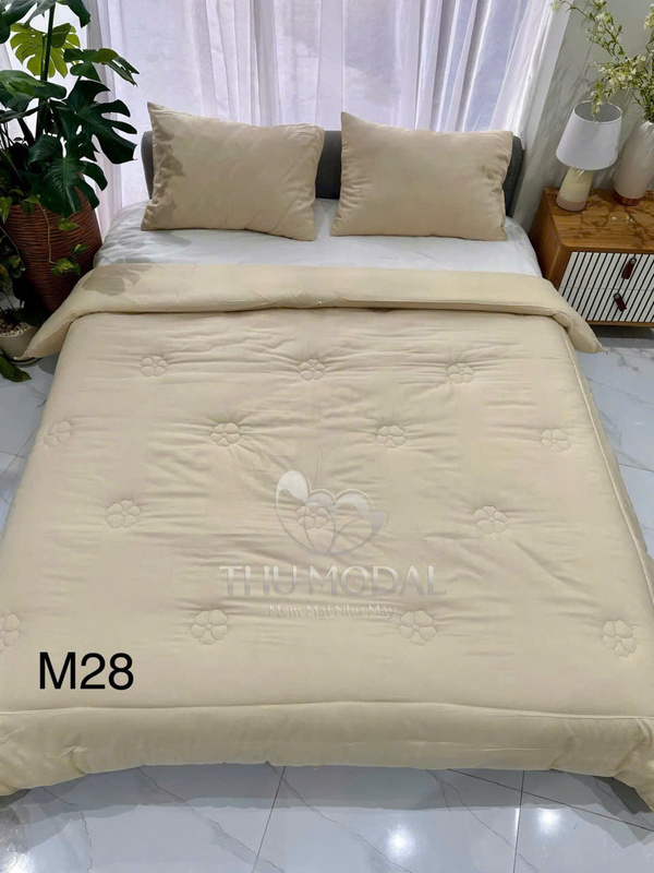 Chăn ga gối đệm