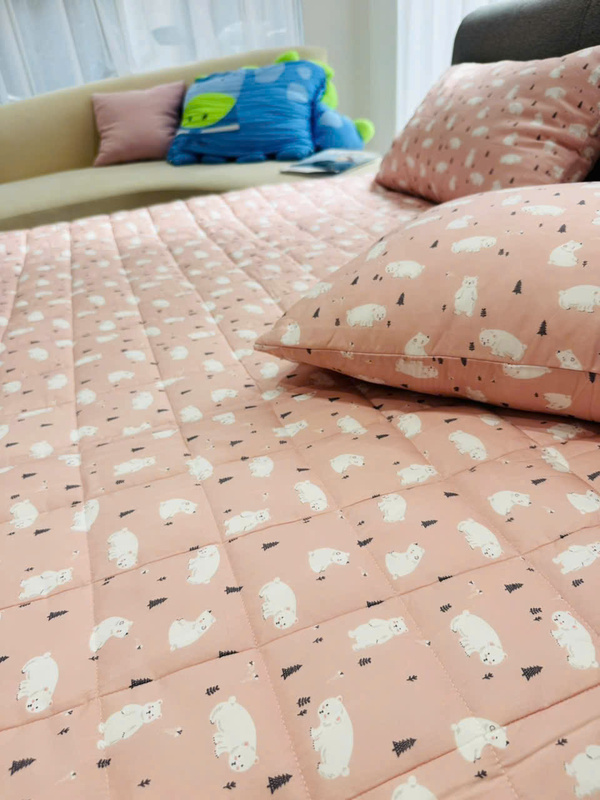 Chăn ga gối đệm