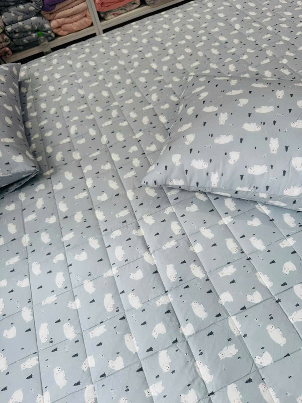 Chăn ga gối đệm