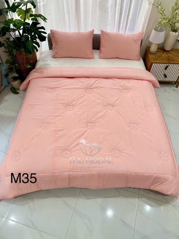 Chăn ga gối đệm