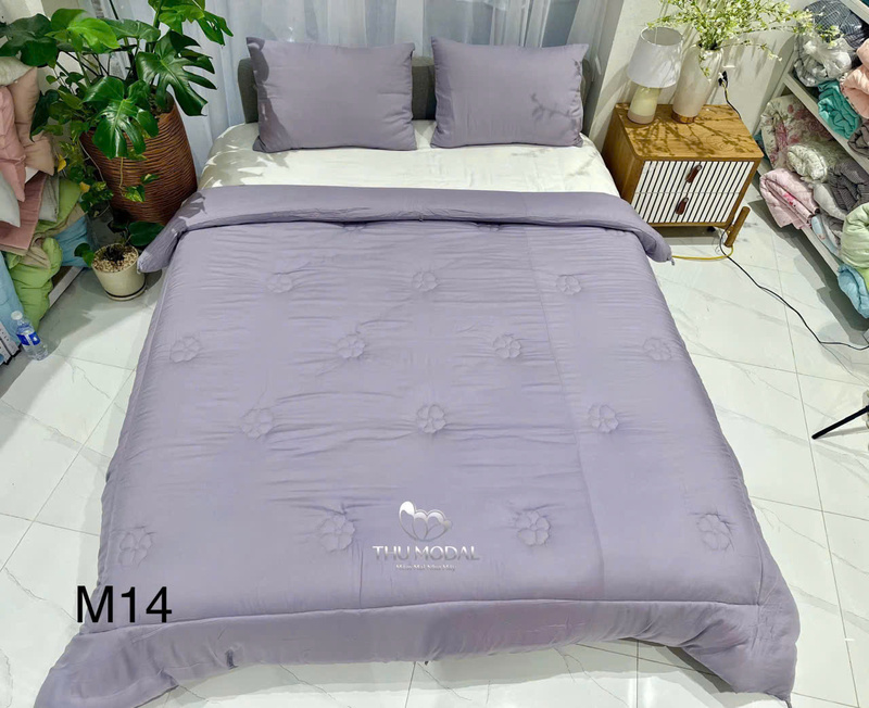 Chăn ga gối đệm