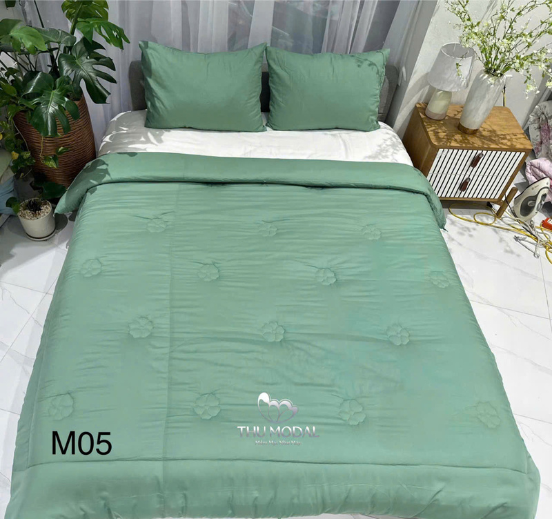 Chăn ga gối đệm