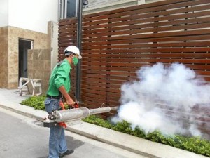 Diệt mối, muỗi ở nhà riêng - Công Ty TNHH Thương Mại Dịch Vụ Xuất Nhập Khẩu Hoa Lâm