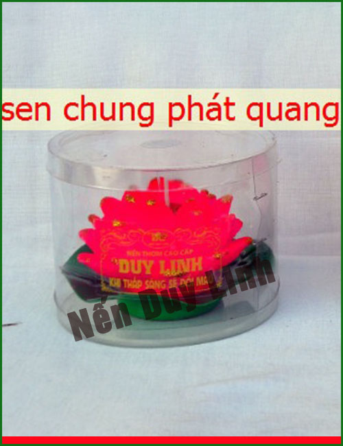 Sen chung phát ưquang