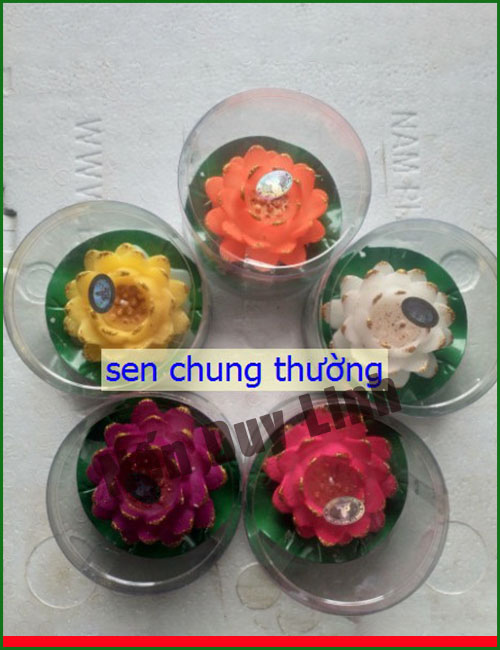 Sen chung thường