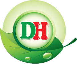 Logo Dương Huỳnh