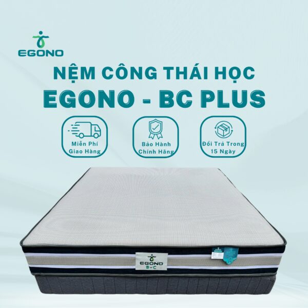 Nệm công thái học EGONO- BC Plus