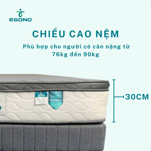Nệm công thái học EGONO-D