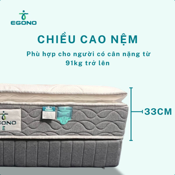 Nệm công thái học EGONO-E 33cm