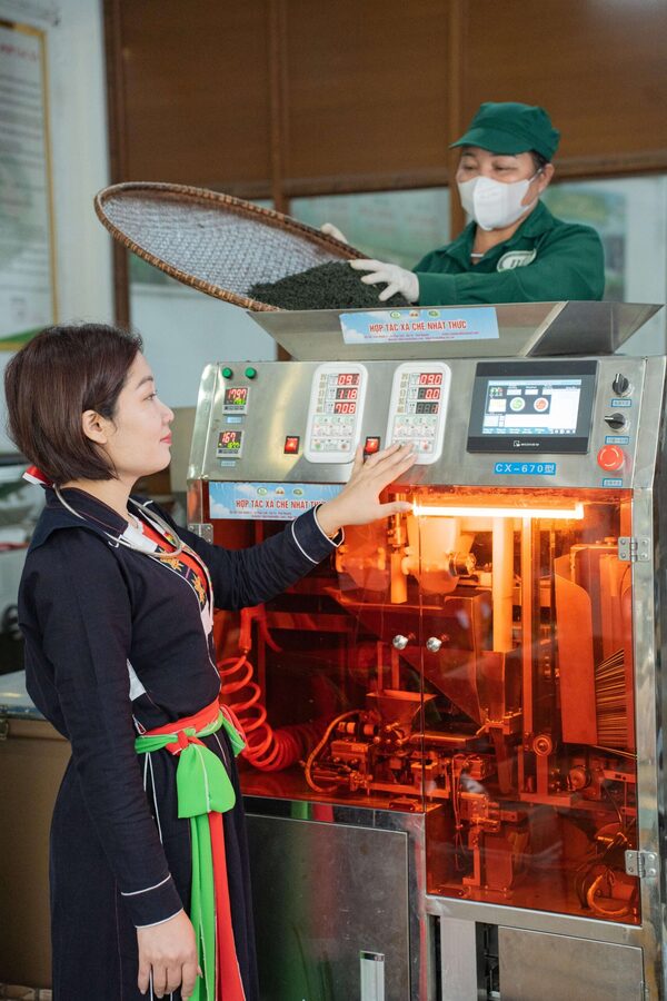 Hình ảnh cơ sở hợp tác xã chè Nhật Thức