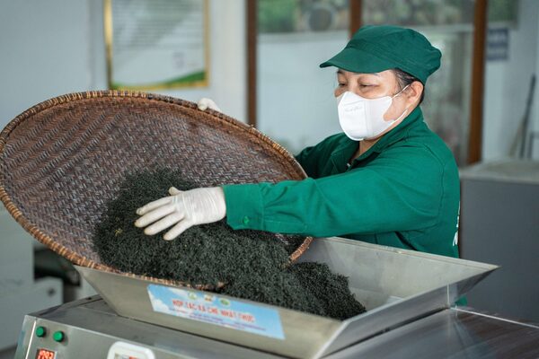 Hình ảnh cơ sở hợp tác xã chè Nhật Thức