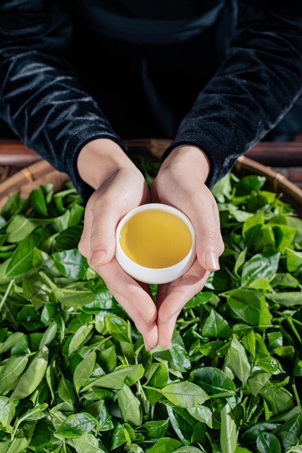 Hình ảnh cơ sở hợp tác xã chè Nhật Thức