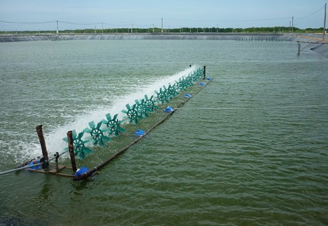Thiết bị xử lí ao đầm, thủy sản - Máy Lọc Nước Bách Khoa - Công Ty TNHH Kỹ Nghệ Bách Khoa