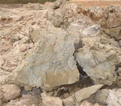 Công Ty TNHH Hanoref Việt Nam