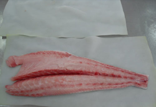 Cá giò đông lạnh - Công Ty TNHH Hoàng Hải