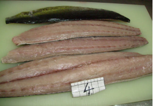 Cá nục heo cờ đông lạnh - Thủy Sản Hoàng Hải - Công Ty TNHH Hoàng Hải