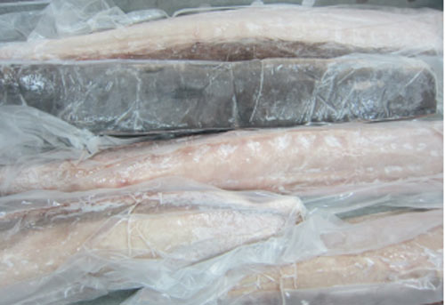 Thăn cá kiếm đông lạnh - Thủy Sản Hoàng Hải - Công Ty TNHH Hoàng Hải