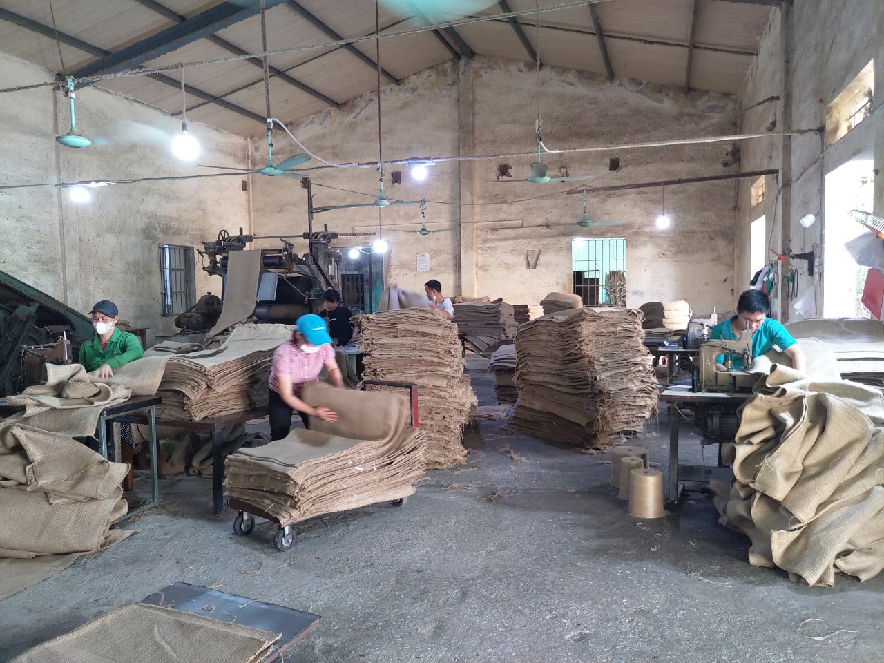 Hình ảnh công ty, nhà xưởng Tiến Đại