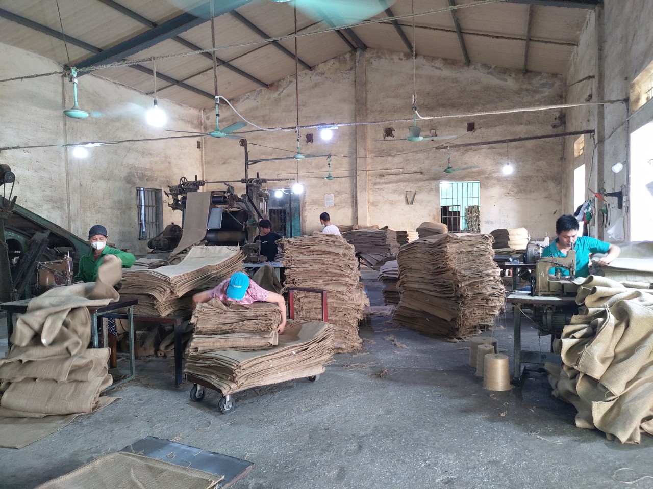Hình ảnh công ty, nhà xưởng Tiến Đại