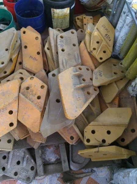 Răng lợi gầu