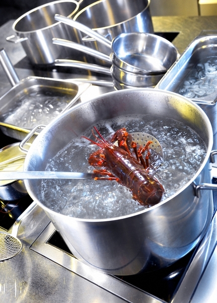 Dụng cụ nấu nướng - Thiết Bị Bếp Nhà Hàng - Đồ Dùng Khách Sạn Dan&Dan - Công Ty TNHH Dân Và Đan