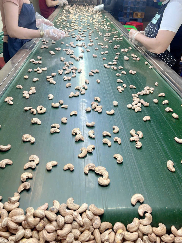 Gia công hạt điều