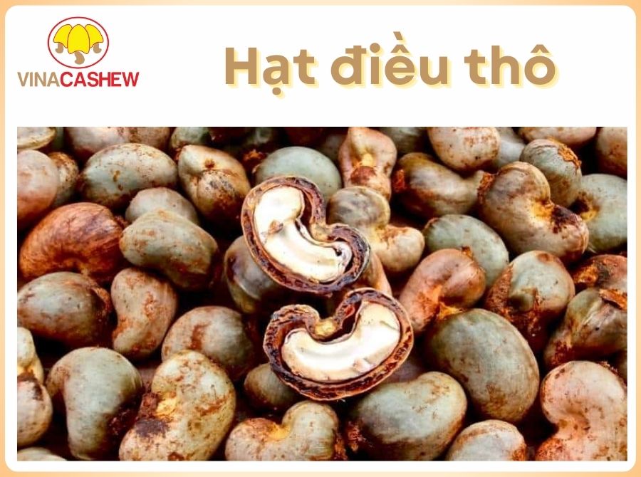 Hạt điều thô