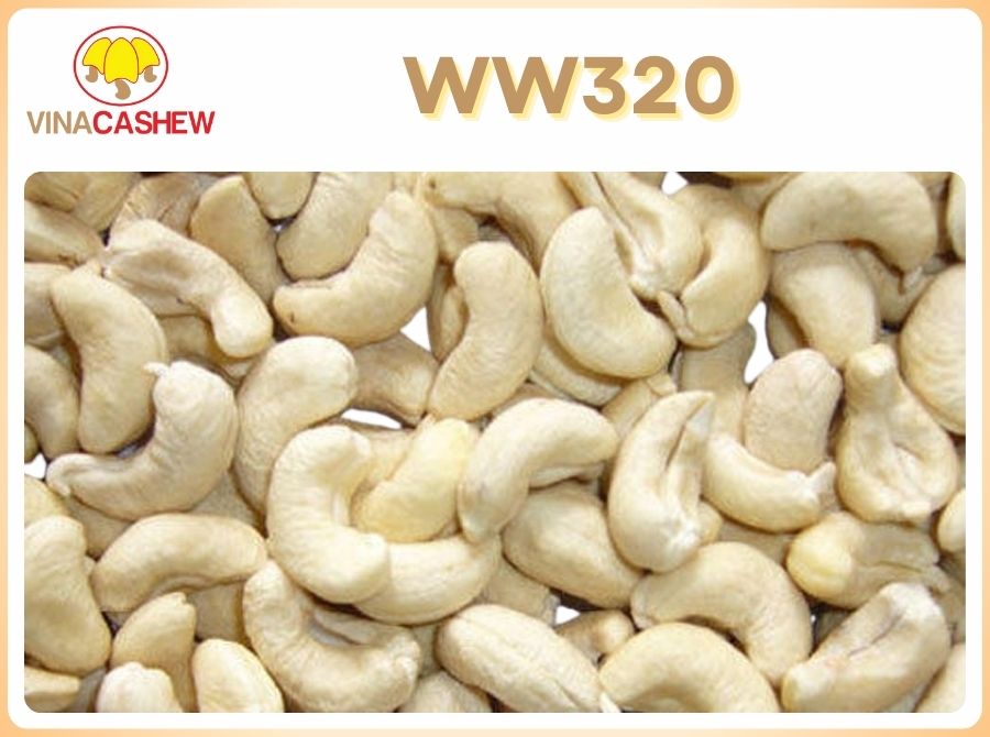 Nhân điều sống - W320