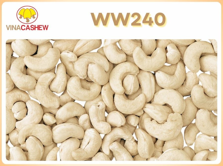 Nhân điều sống - WW240