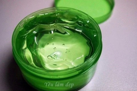 Gel nha đam