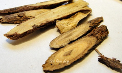 Chiết xuất cam thảo