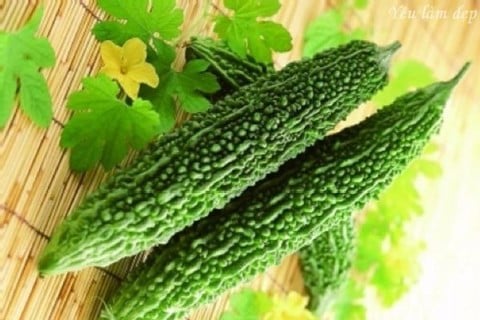 Chiết xuất mướp đắng