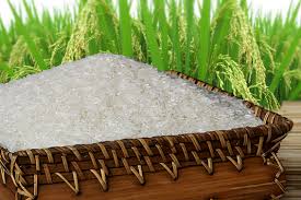 Gạo - Công Ty TNHH Nông Lâm Sản Và Lương Thực Long Trà