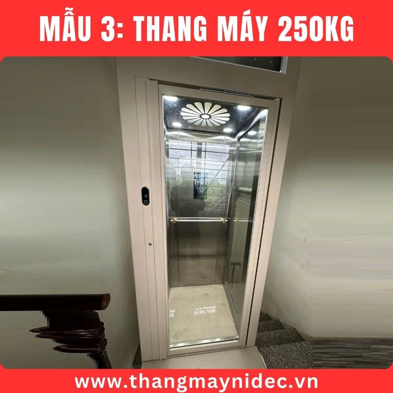 Thang máy 250kg - Thang Máy Gia Đình Hoàng Sa Việt - Công Ty TNHH Đầu Tư Và Phát Triển Hoàng Sa Việt