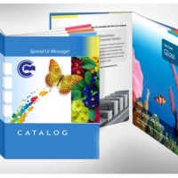 In Catalogue - Công Ty TNHH Tin Học Minh Dương