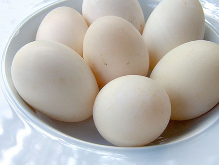 Trứng vịt - Công Ty TNHH Sản Xuất Thực Phẩm BaSao Food