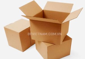 Hộp carton - Công Ty TNHH B&F Việt Nam