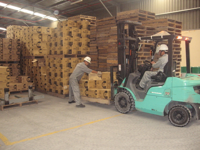 Dịch vụ kho bãi - Logistics Hùng Phan - Công ty TNHH Thương Mại Xuất Nhập Khẩu Hùng Phan